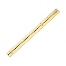 PIANO HINGES